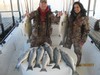 (01/29/2017) - Nice Striped Bass